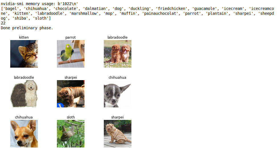 chihuahua-or-muffin-jupyter-notebook-phase-1